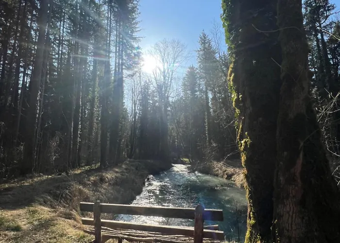 22 Appartement Schlins